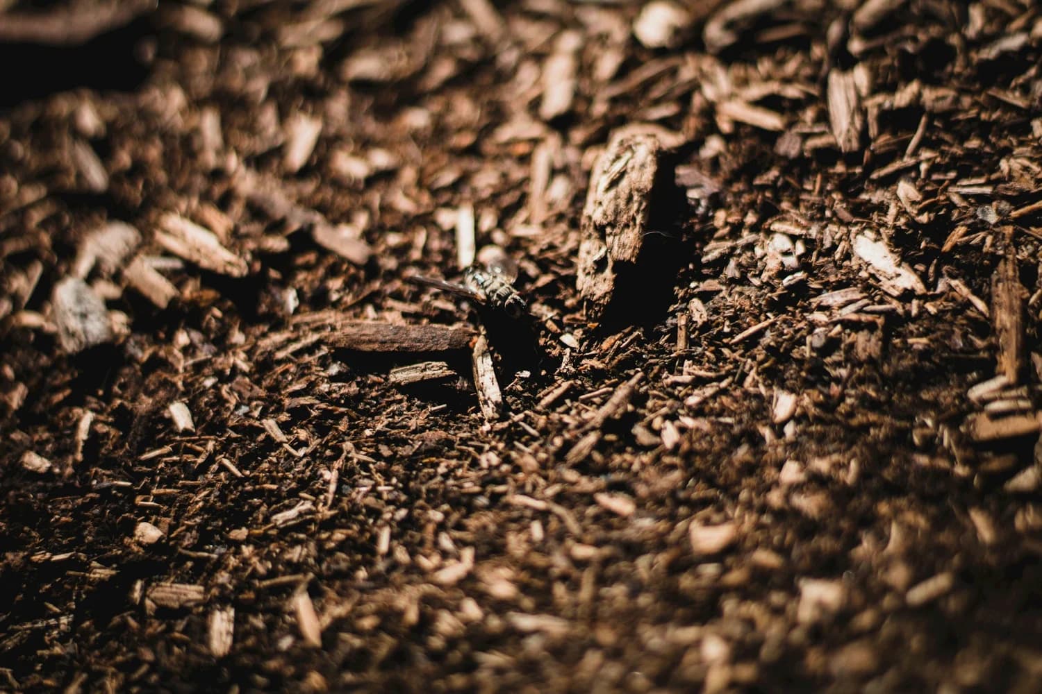 Mulch material available for landscaping delivery